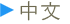 中文