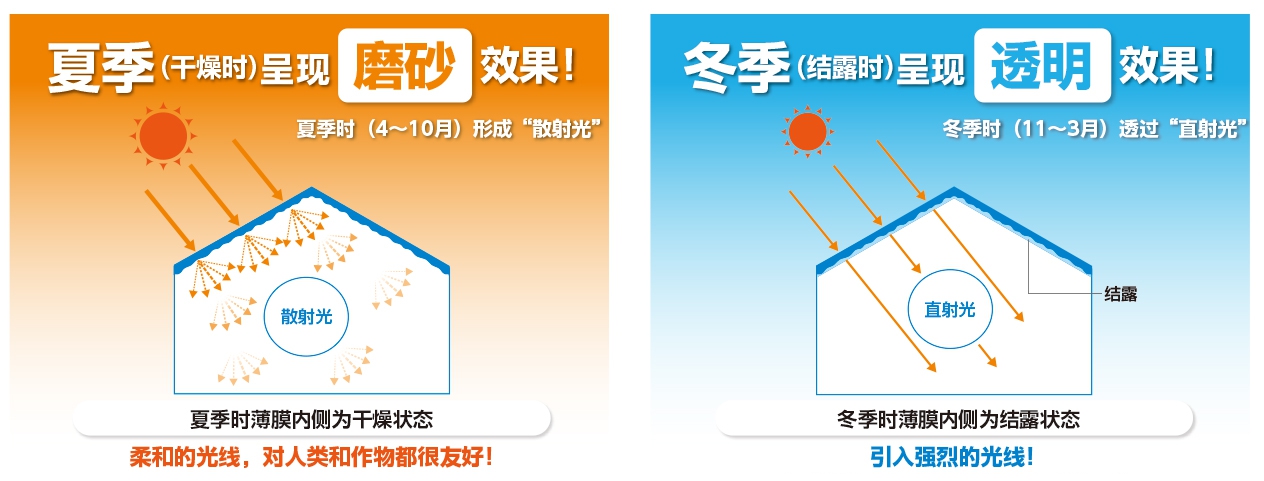 夏季磨砂，冬季透明