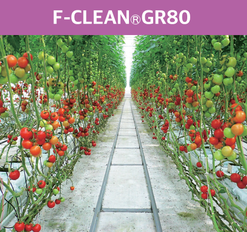 F-CLEAN<sub>&reg;</sub>GR80