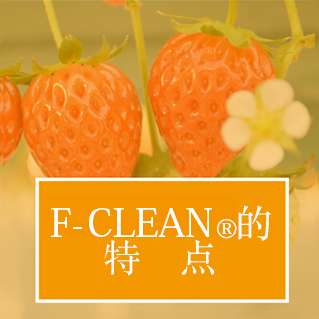 F-CLEAN<sub>®</sub>的特点