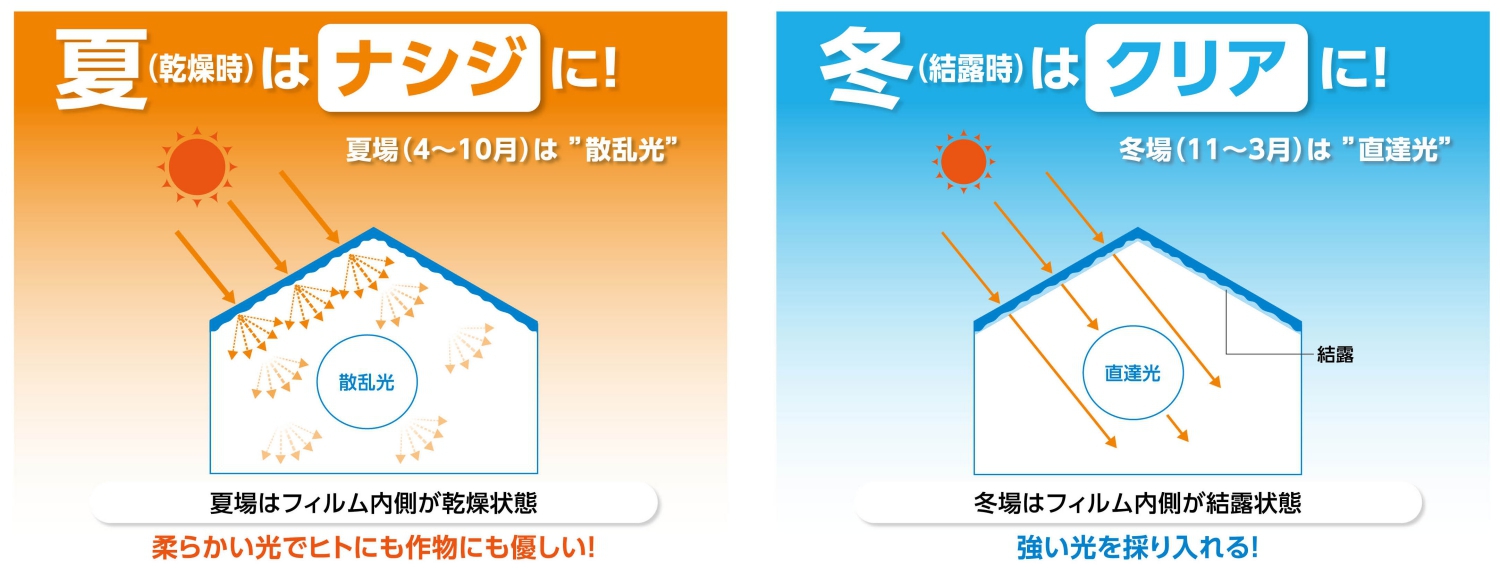 夏はナシジに！冬はクリアに！