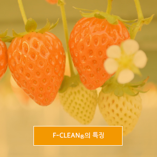 F-CLEAN<sub>&reg;</sub>의 특징