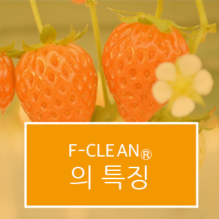 F-CLEAN<sub>&reg;</sub>의 특징